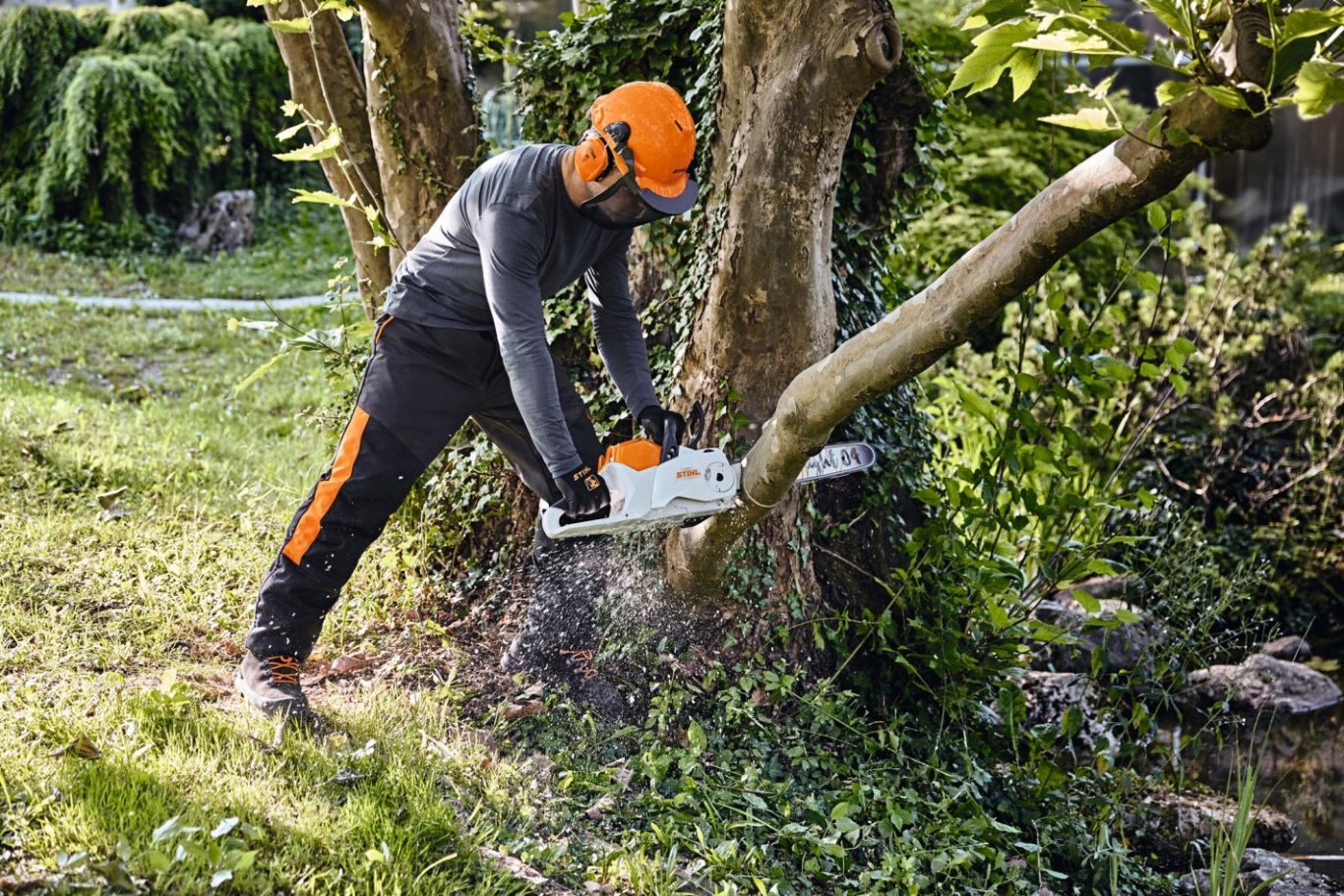 STIHL MSA 220C Cordless Chain Saw 18