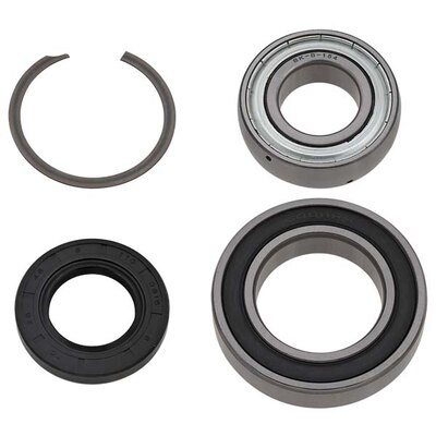 SPX CHAIN CASE BEARING/SEAL KT (SM-03209)