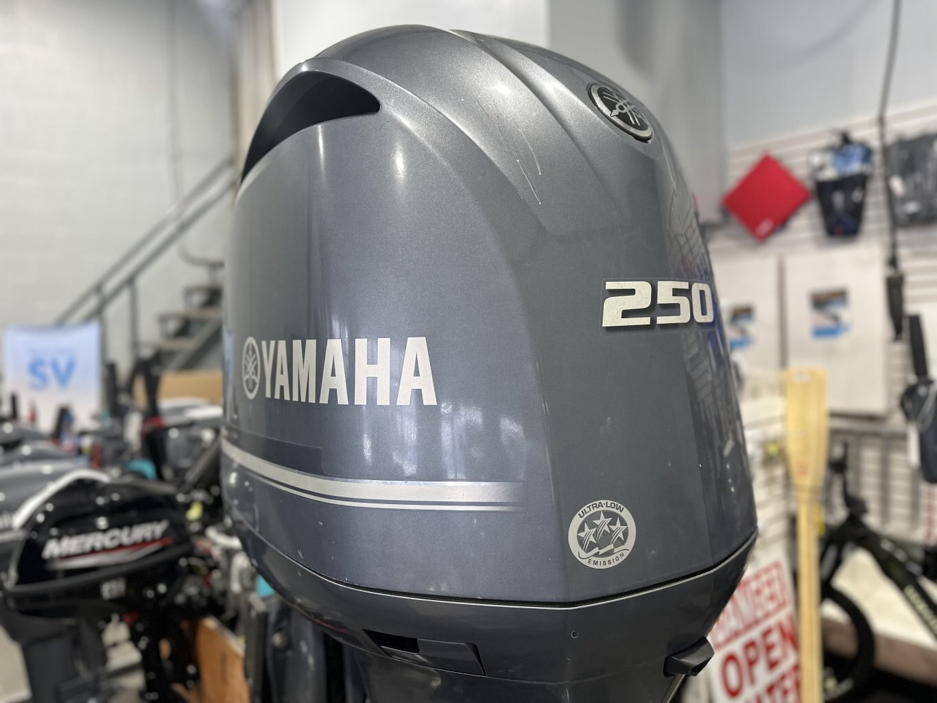 2019 YAMAHA F250CXA