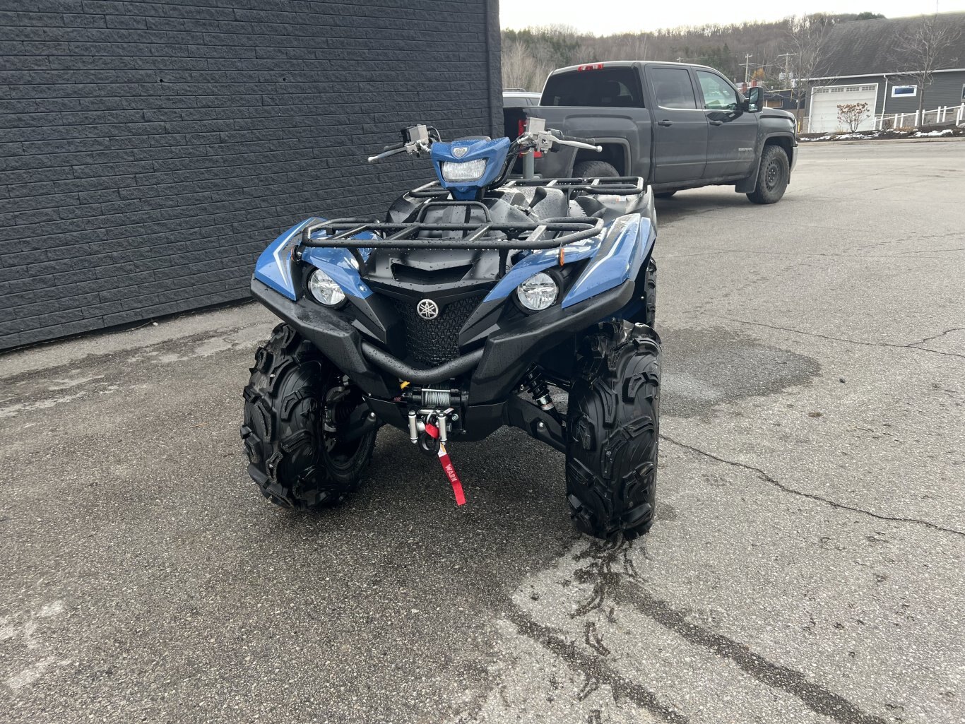 2025 Yamaha Grizzly EPS SE Dusty Blue