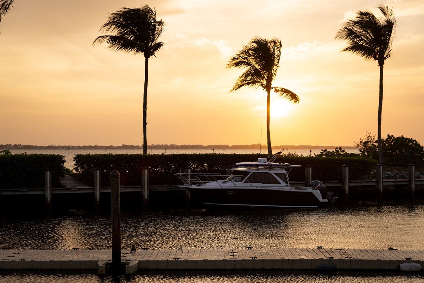 Cutwater C 248 COUPE