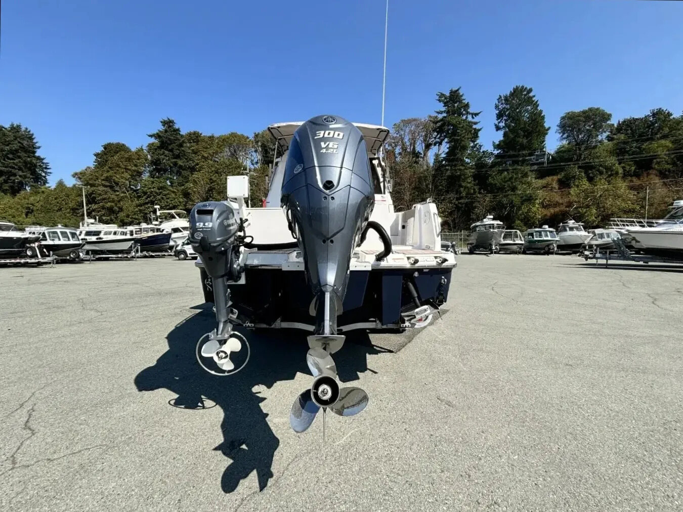 2024 Cutwater C 248 Coupe