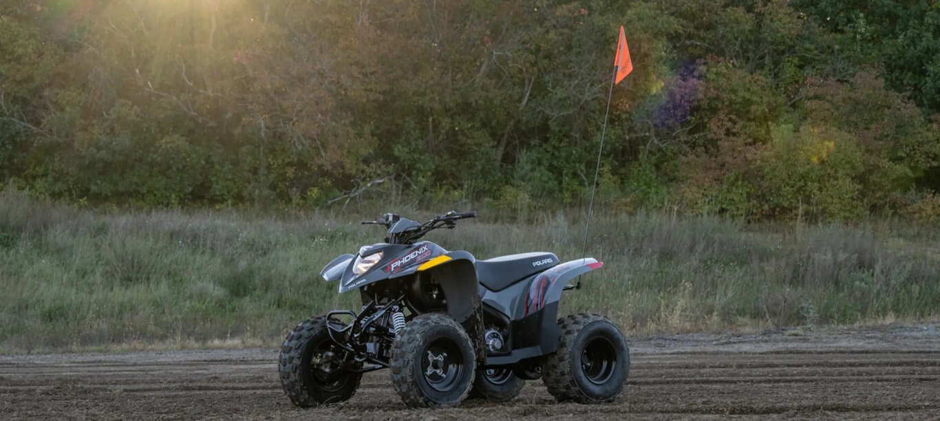 2025 Polaris Phoenix 200