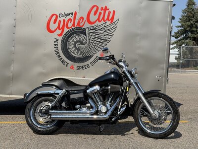 2007 Harley Davidson FXDL Dyna Low Rider