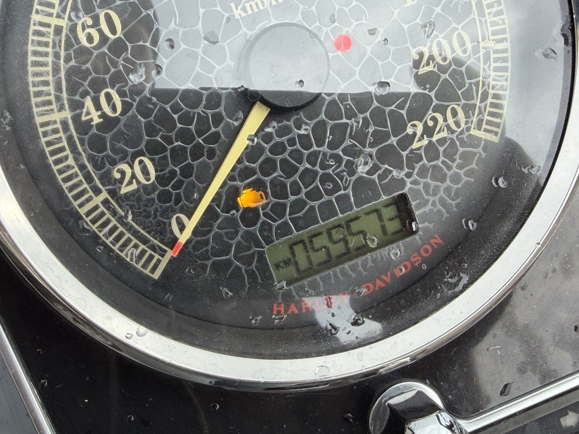2011 Harley Davidson FLSTFB Fatboy Lo