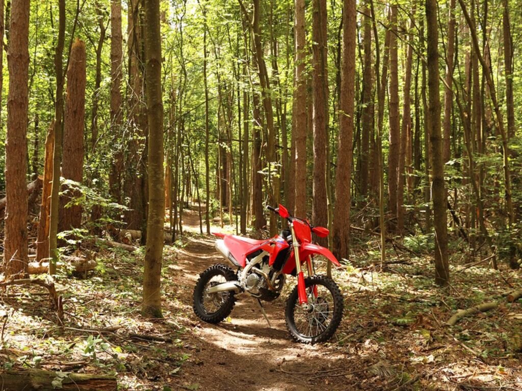 2024 Honda CRF250RX