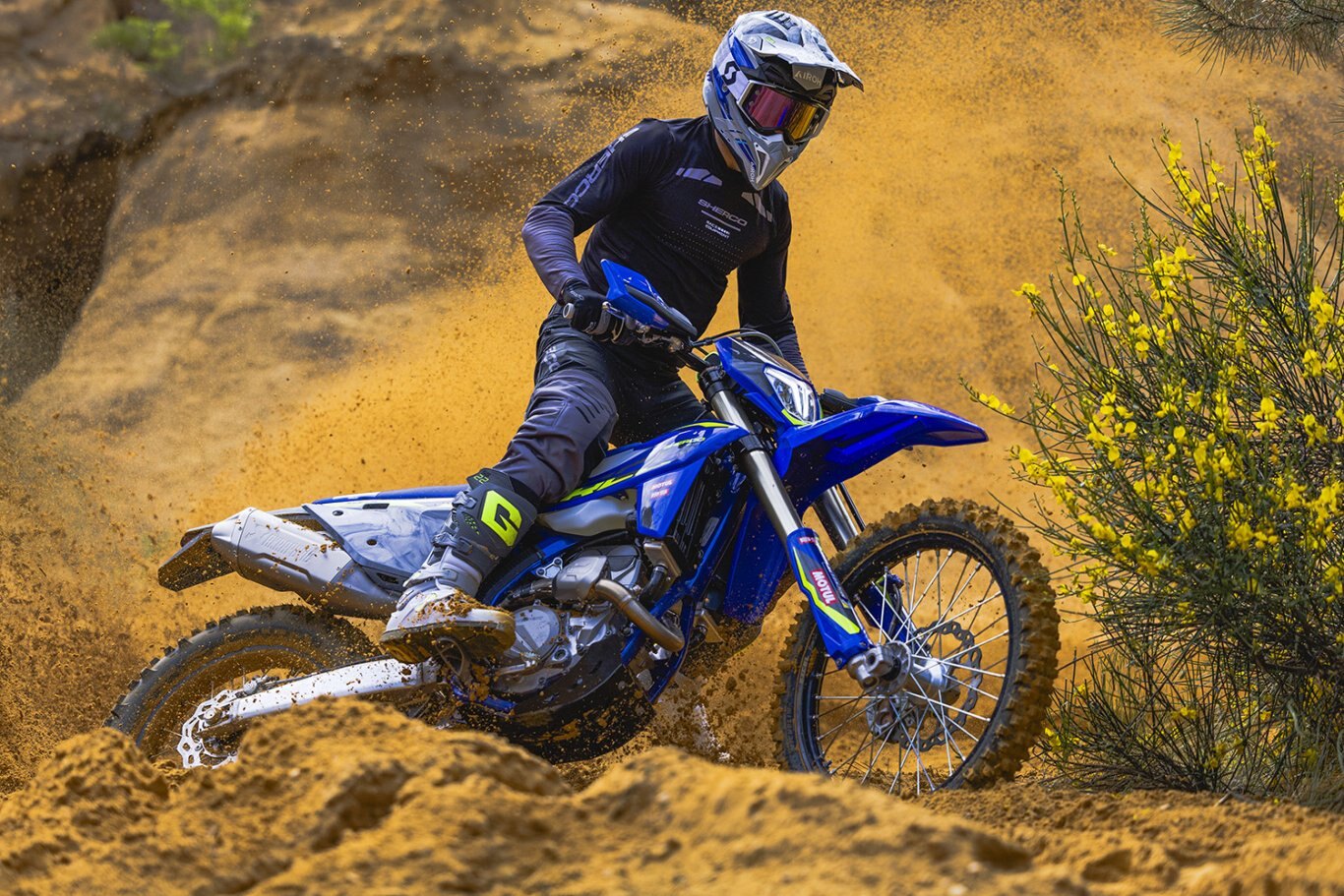 2025 Sherco 450 SEF FACTORY