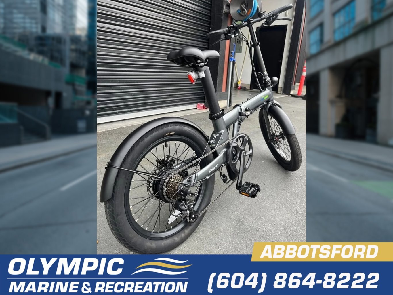 Qualisports Dolphin Folding compact E Bike