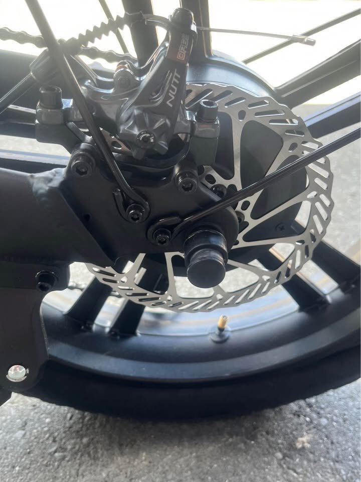 QualiaSports Fat Tire E bike