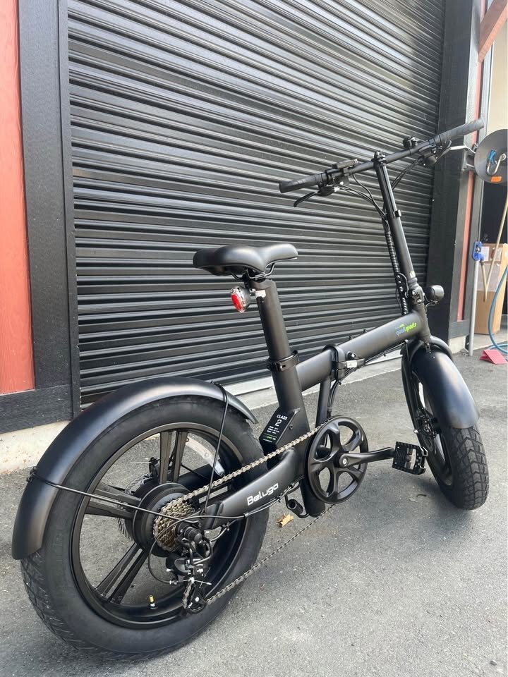 QualiaSports Fat Tire E bike