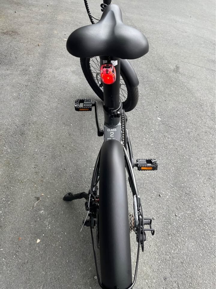 QualiaSports Fat Tire E bike