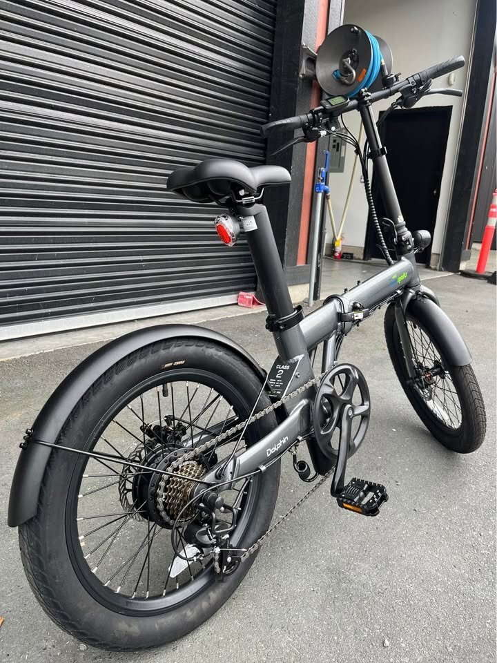 QualiaSports Fat Tire E bike