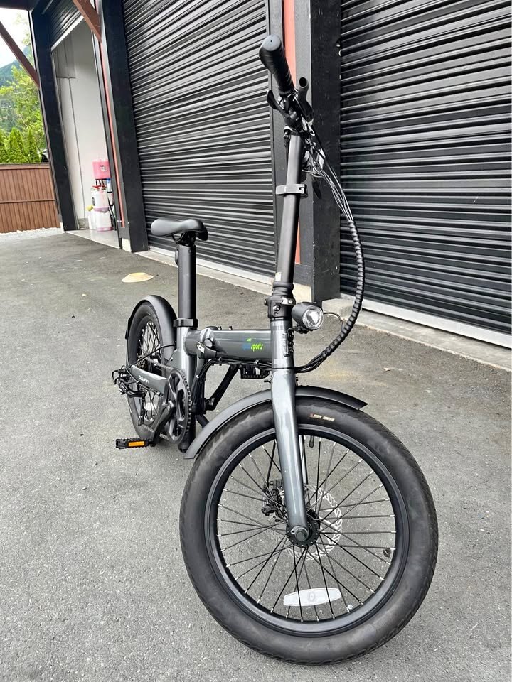 QualiaSports Fat Tire E bike