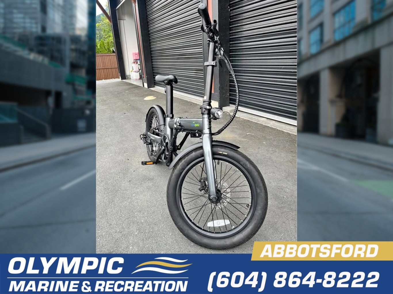 QualiaSports Fat Tire E bike