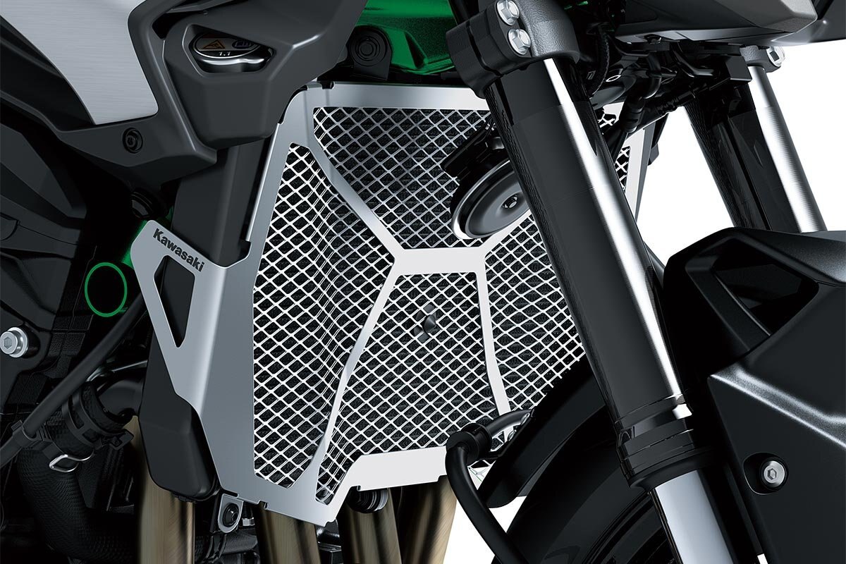 2025 Kawasaki Z900 Met. Matte Graphene Steel Gray / Met. Flat Spark Black / Candy Flat Blazed Green