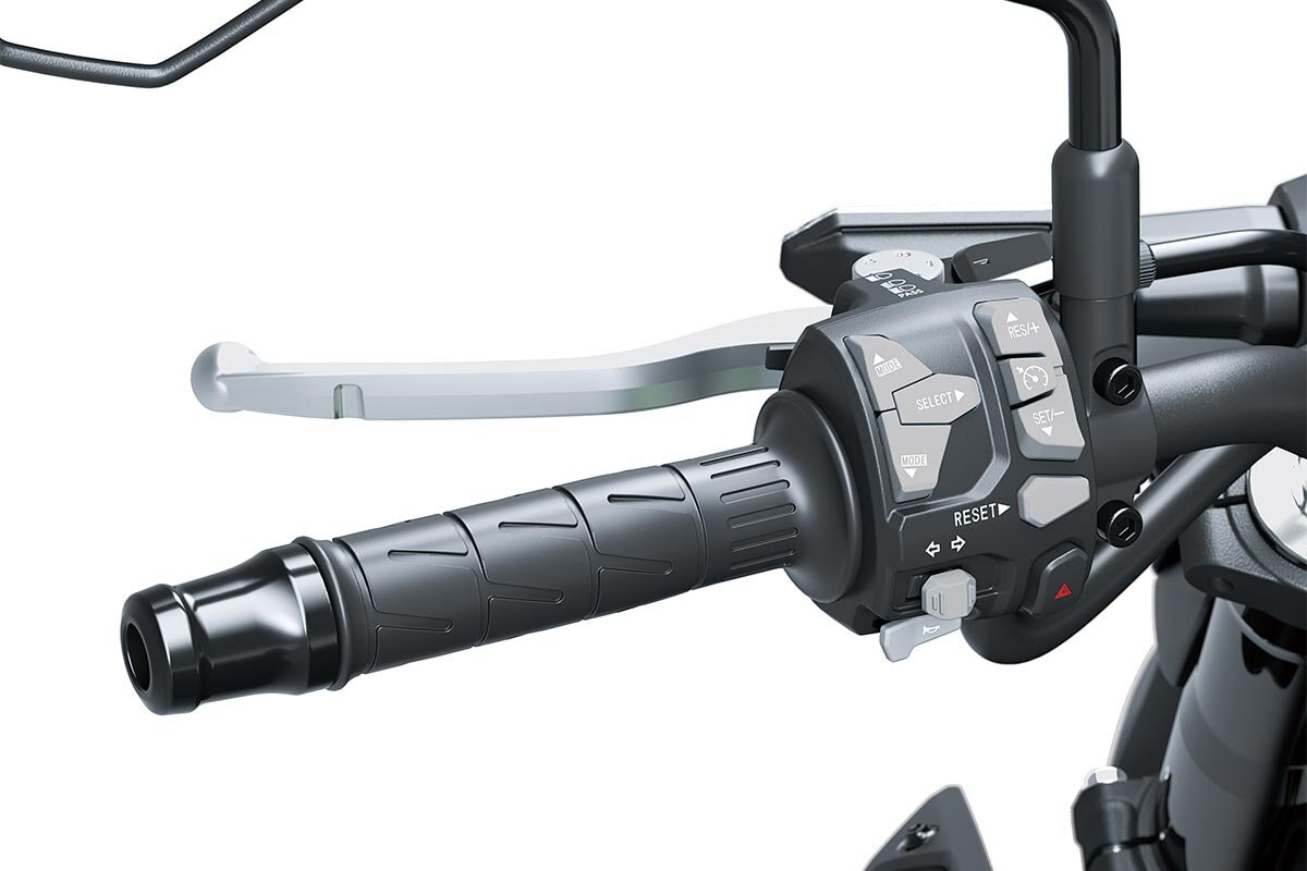 2025 Kawasaki Z900 Met. Matte Graphene Steel Gray / Met. Flat Spark Black / Candy Flat Blazed Green