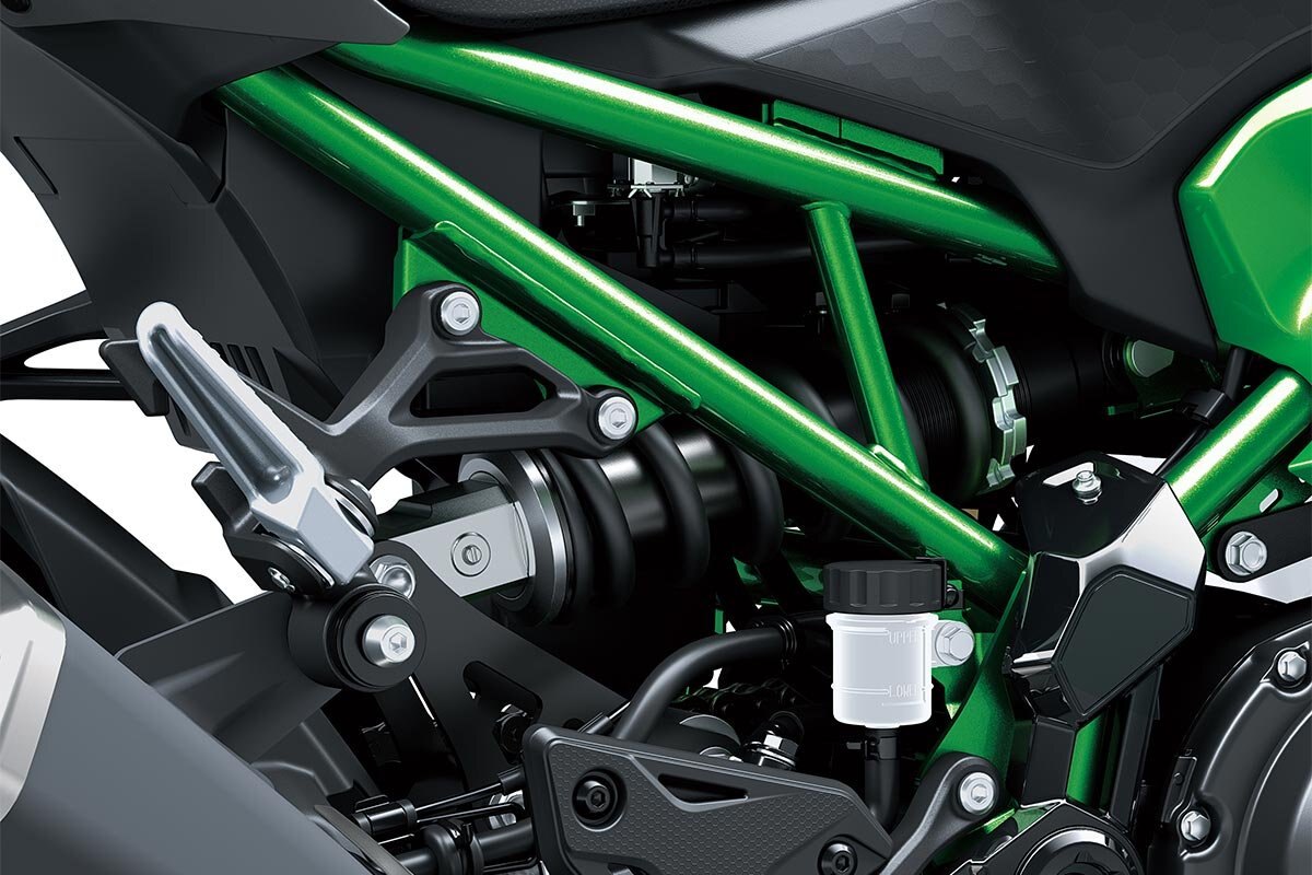 2025 Kawasaki Z900 Met. Matte Graphene Steel Gray / Met. Flat Spark Black / Candy Flat Blazed Green