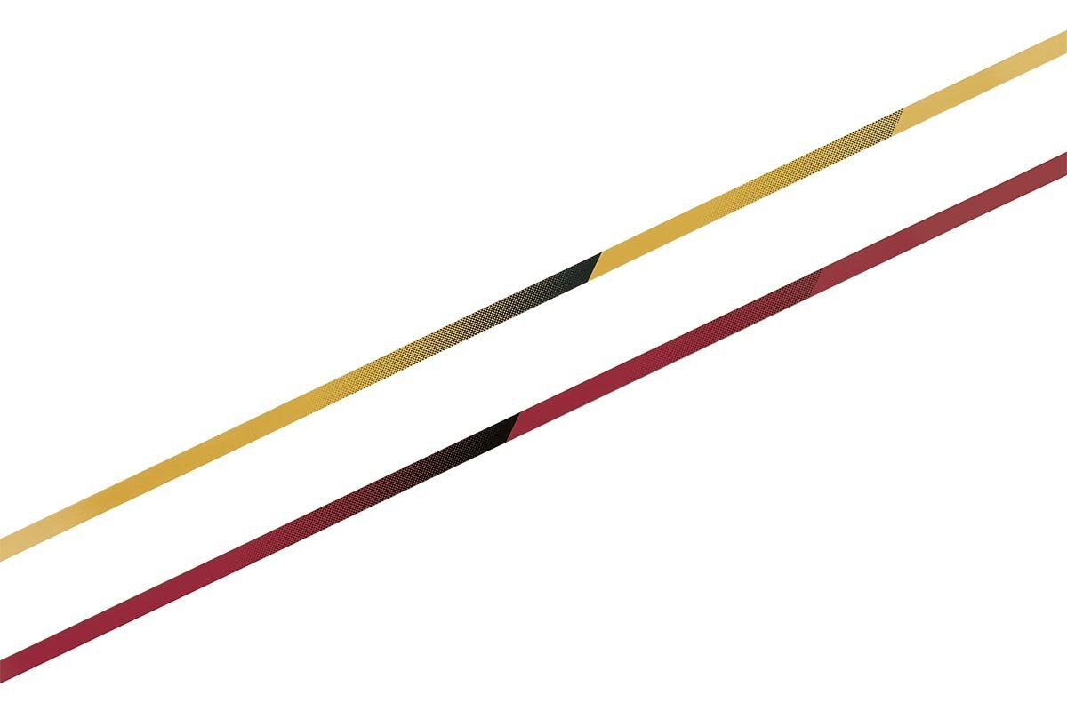 2025 Kawasaki Z900 Met. Matte Graphene Steel Gray / Met. Flat Spark Black / Candy Flat Blazed Green