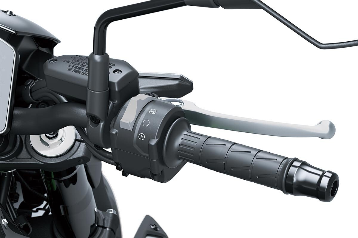 2025 Kawasaki Z900 Met. Matte Graphene Steel Gray / Met. Flat Spark Black / Candy Flat Blazed Green