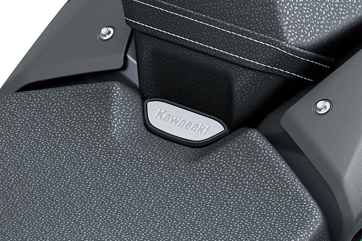 2025 Kawasaki Z900 Met. Matte Graphene Steel Gray / Met. Flat Spark Black / Candy Flat Blazed Green