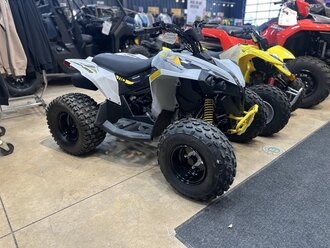 39258334