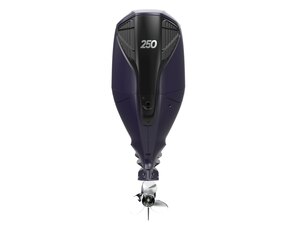 Tohatsu BFT250DK1