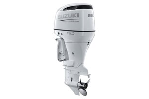 Suzuki DF250 White