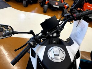 2024 CFMOTO 300NK Nebula White
