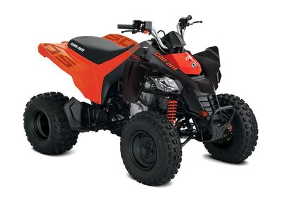 2027 Can-Am DS 250