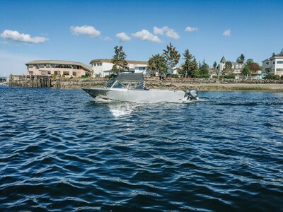 ALLIED BOATS — WARHAWK P24