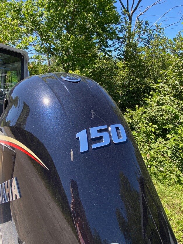 2025 Allied 21 HT Mustang (3 Piece Rollup Curtain)