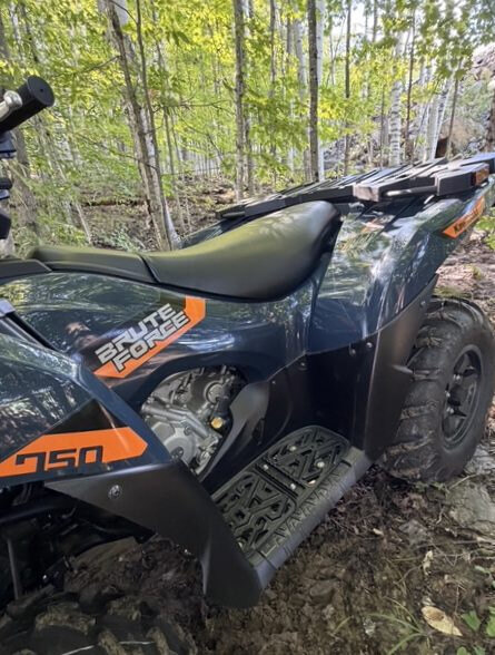 2026 KAWASAKI BRUTE FORCE 750 EPS