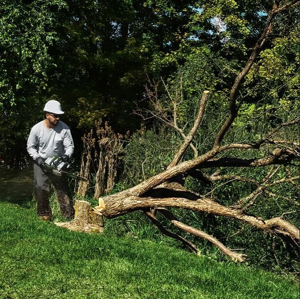 EGO Commercial 20 Chain Saw CSX5000