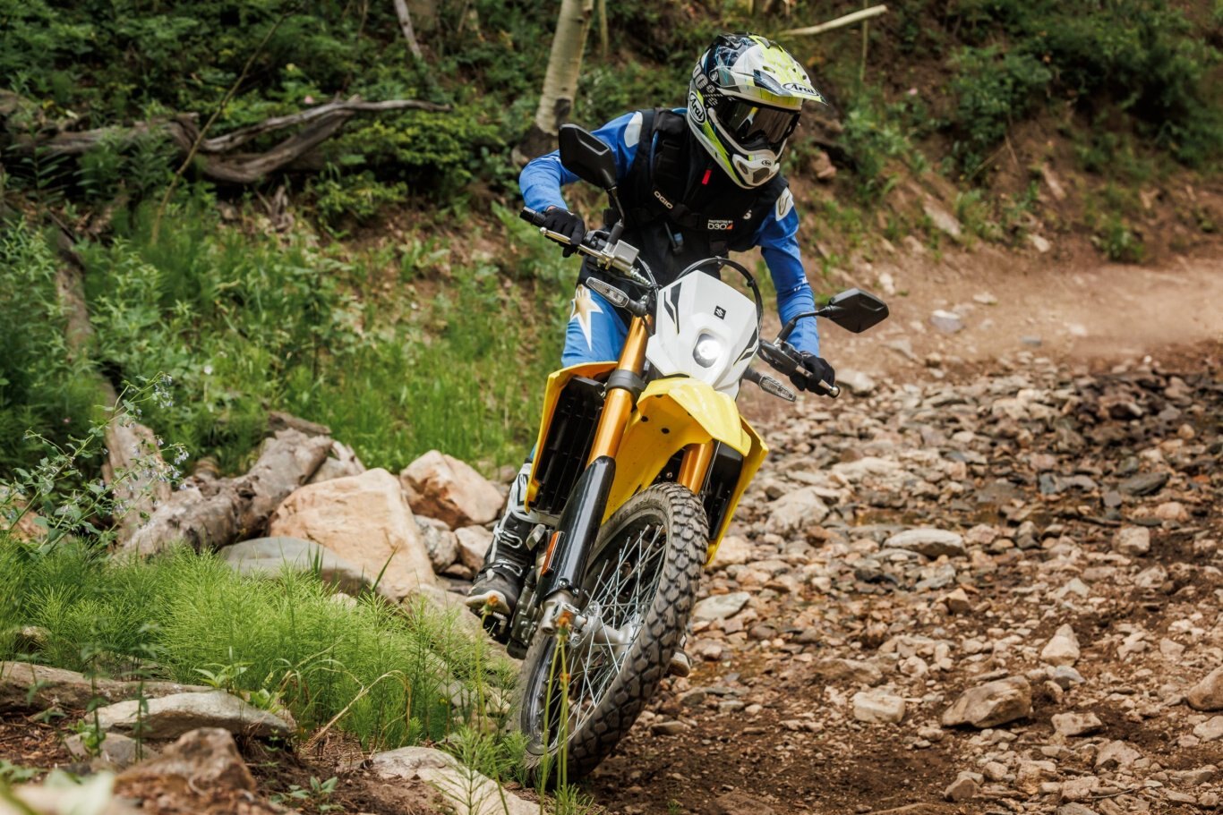 2025 Suzuki DR Z4S Champion Yellow No. 2 / Solid Special White No. 2