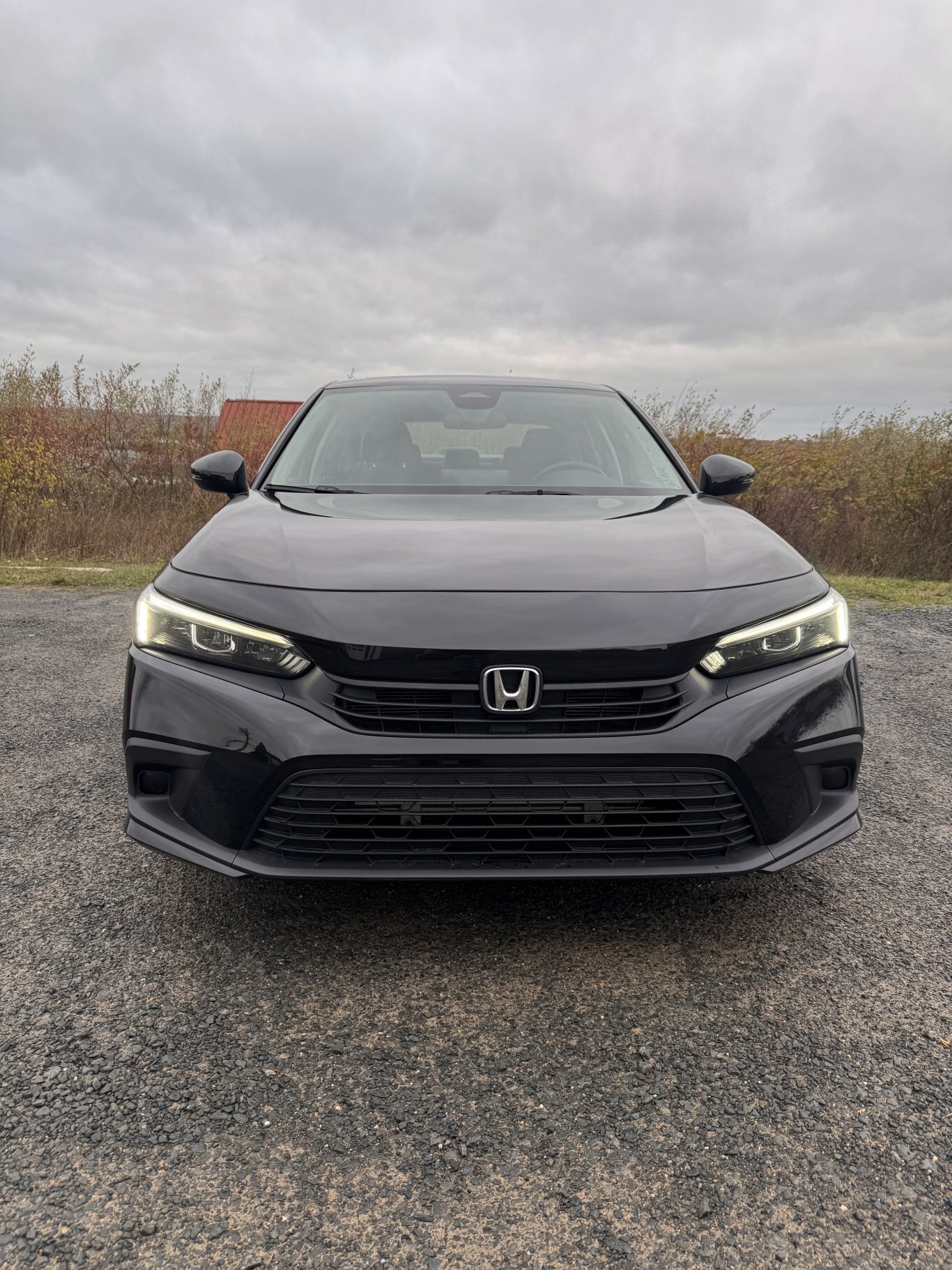 1999 Harley Davidson Heritage Softail - BLACK FRIDAY SALE