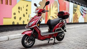 Emmo HORNET X.I Red