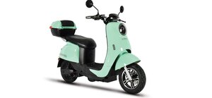 Emmo MERONA Green