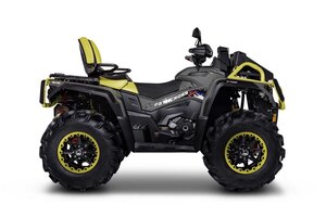 Aodes PATHCROSS 1000 L MUD PRO Grey / Gold