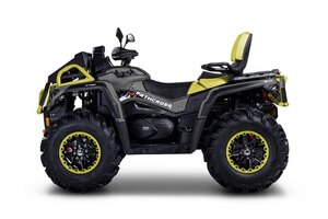 Aodes PATHCROSS 1000 L MUD PRO Grey / Gold