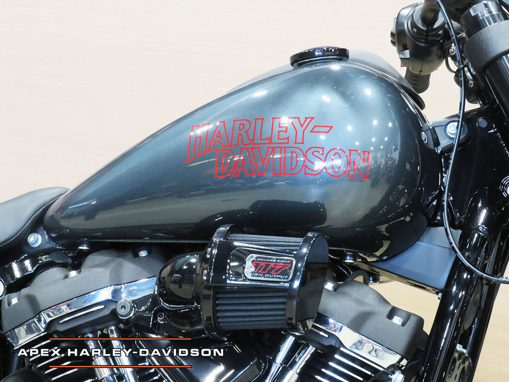2025 Harley Davidson FXLRS Low Rider S