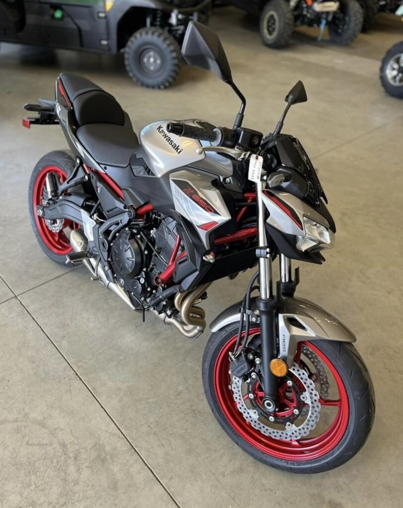 2023 Kawasaki Z650 | Stimulate Your Senses | $123 BW