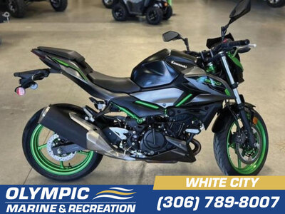 2024 Kawasaki Z500 | Style & Attitude | $86 BW