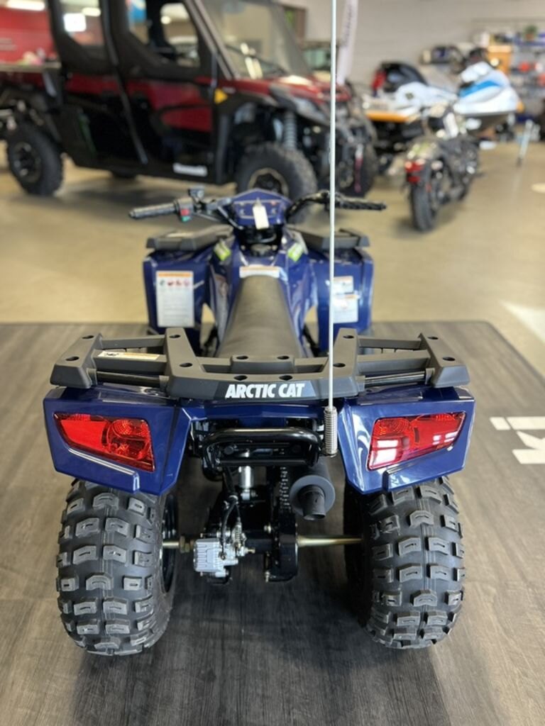 2021 Arctic Cat Alterra 90 | Big Adventure Starts Here.