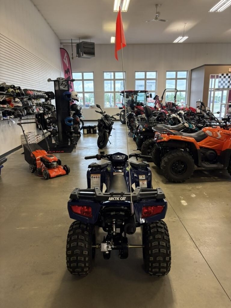 2021 Arctic Cat Alterra 90 | Big Adventure Starts Here.