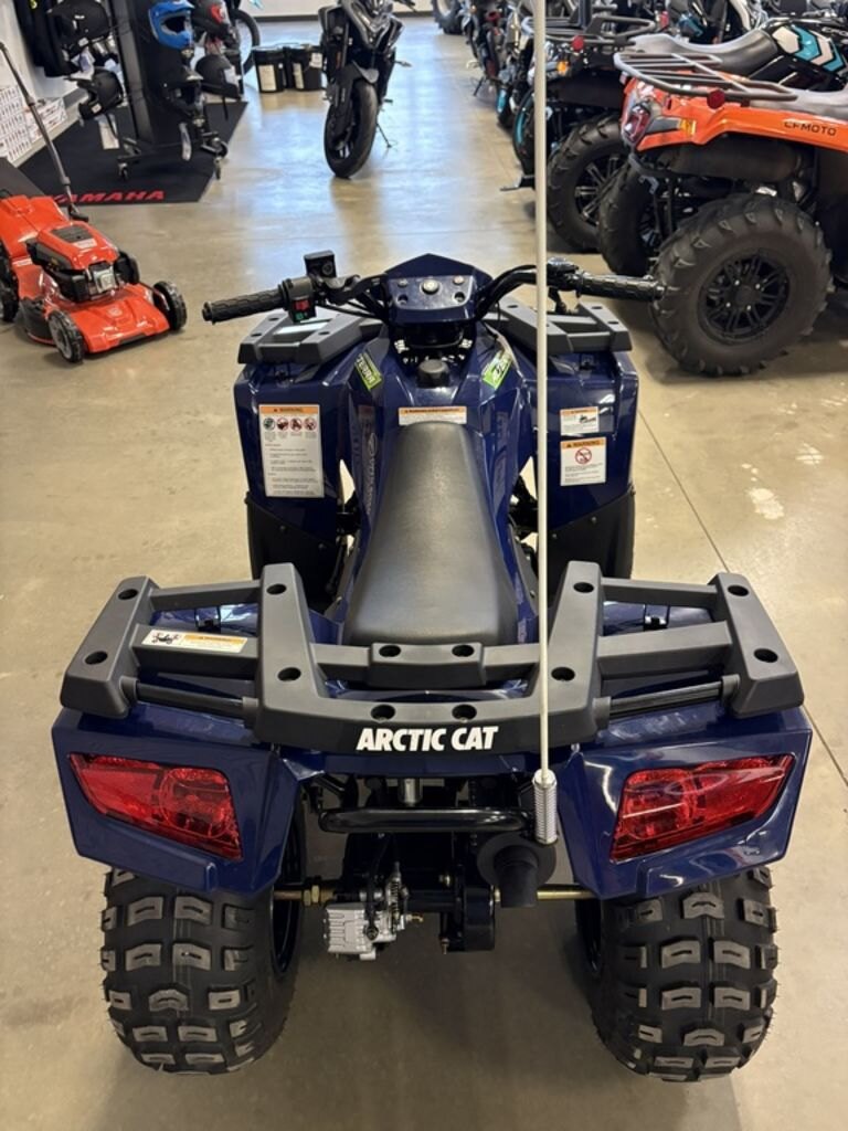 2021 Arctic Cat Alterra 90 | Big Adventure Starts Here.