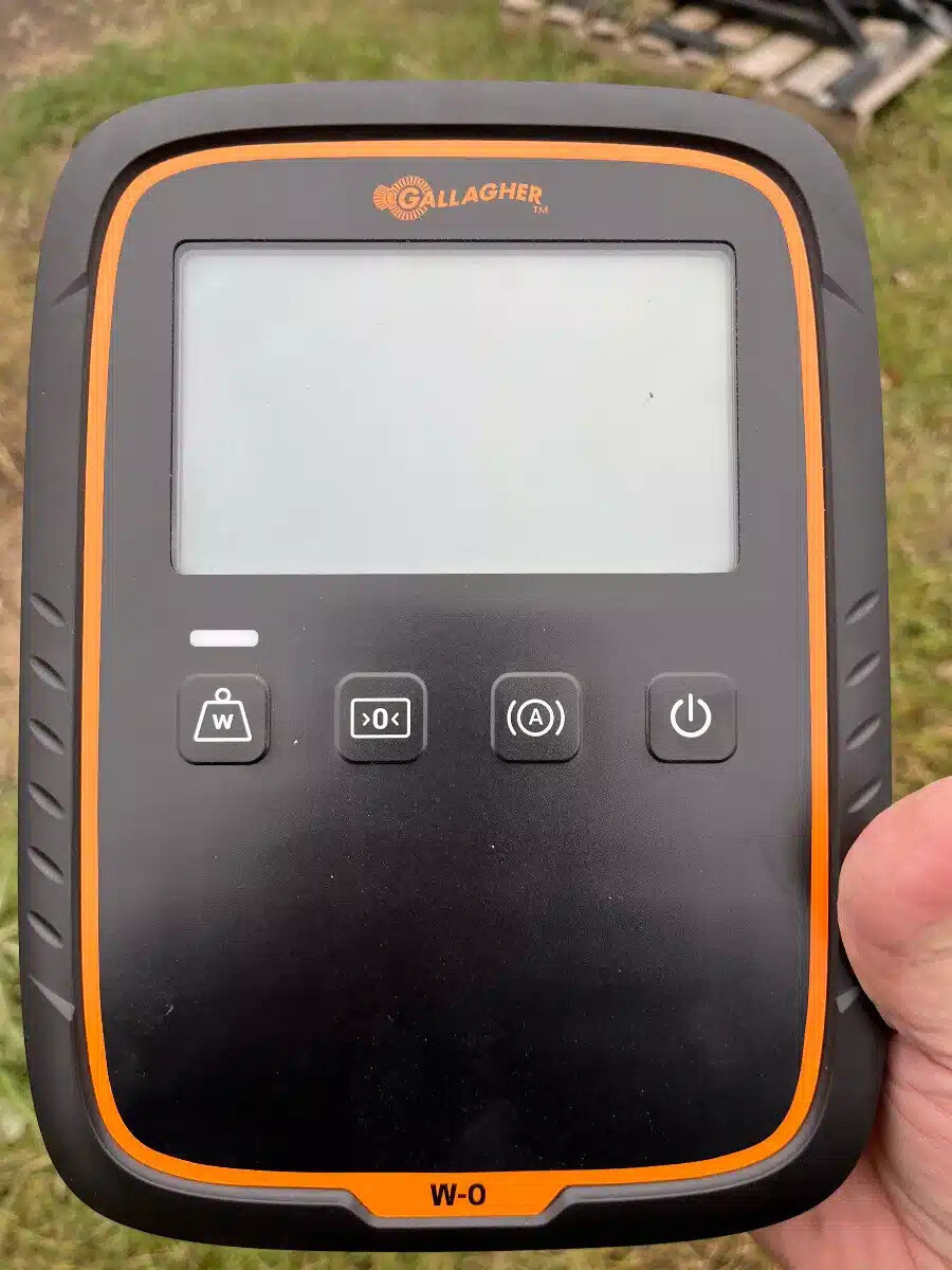 Arrowquip 8' ally with scale