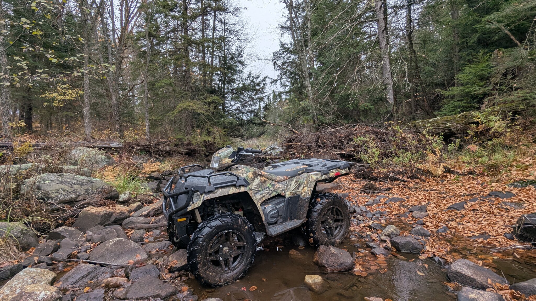 8993 7A3BEA04 181B 4D21 AAE2 3769CE0A4420 PXL 20251017 174918590