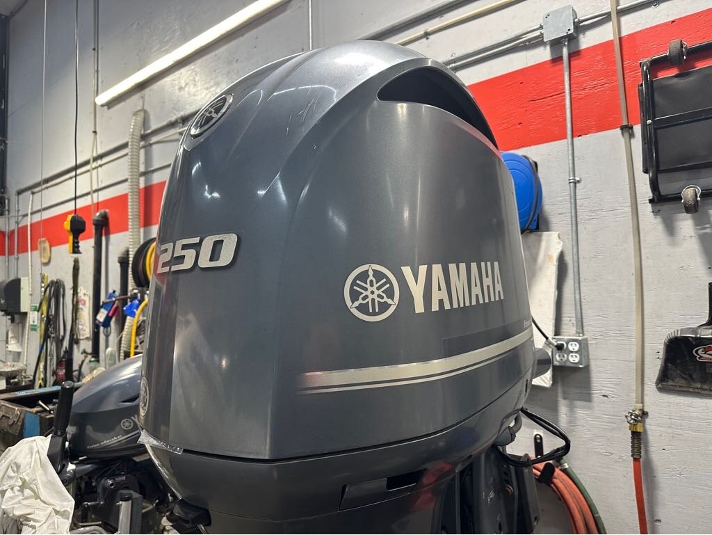 2019 Yamaha LFZ250XCA