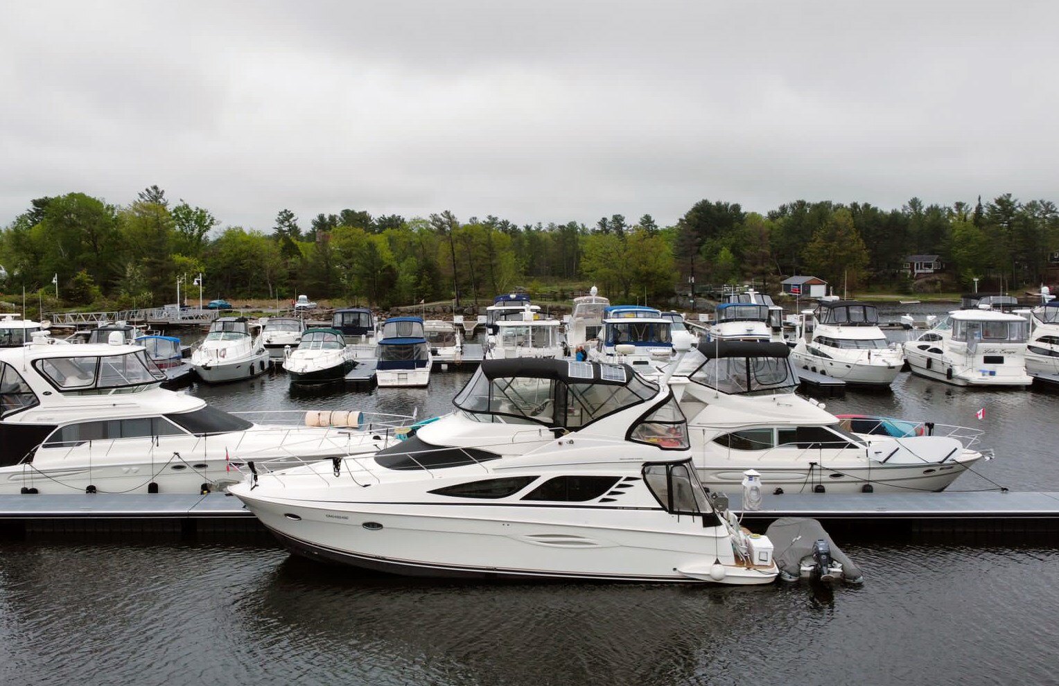 8299 593051 22806543 Silverton 43 Sportbridge