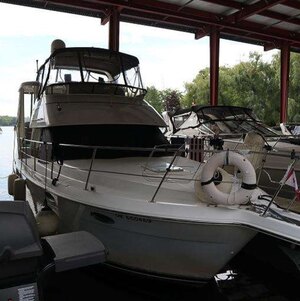 2000 Carver 356 MY